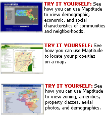 Real Estate Examples