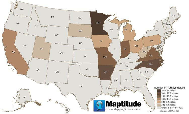 Maptitude map of the turkeys raised by state