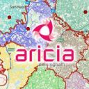 Aricia
