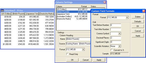 new custom field formats