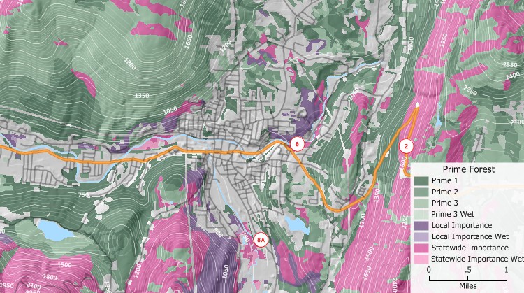 GIS for forestry map of prime forests
