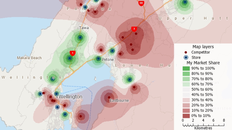 Perform market share analysis with Maptitude business mapping software for New Zealand
