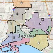 Maptitude voting district software
