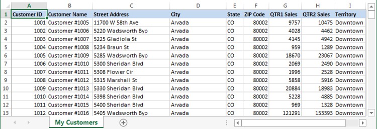 Excel spreadsheet with customer data