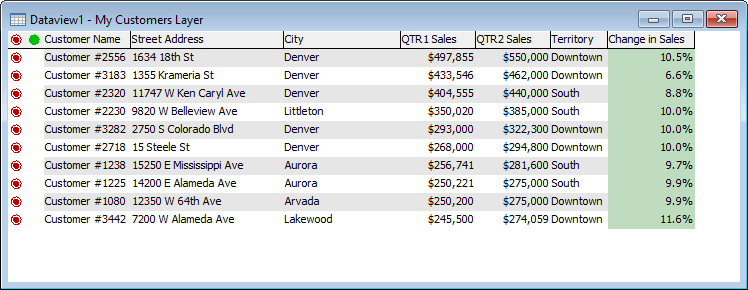 Customer dataview window with filtered customers