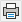Print button icon