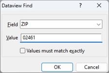 Dataview Find dialog box
