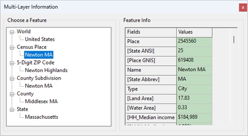 Multi-Layer Information dialog box
