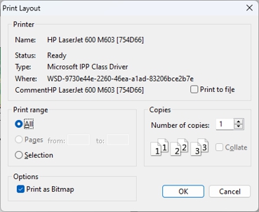 Print Layout dialog box