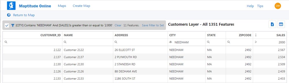 Maptitude Online filtered tabular dataview