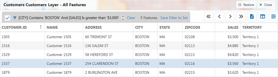 Maptitude Online dataview showing feature that have been filtered by city and sales volume