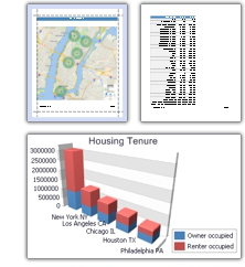 Maptitude reports and charts